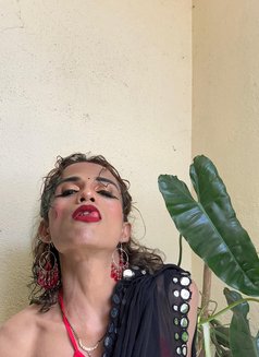 Tiara - Transsexual escort in Bangalore Photo 21 of 30