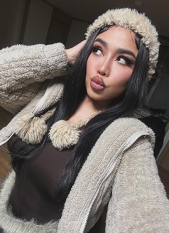 TIARA NEW GIRL AVAILABLE - escort in Pyeongtaek Photo 19 of 19