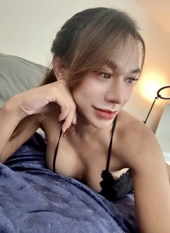 Tietee - Transsexual escort in Chiang Mai Photo 26 of 29