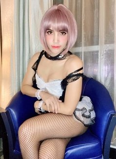 Tiffany Sexsy Ladyboy Big Cock From Thai - Transsexual escort in Al Juffair Photo 7 of 11