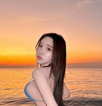 Tiffanynewinthailand - Transsexual escort in Bangkok