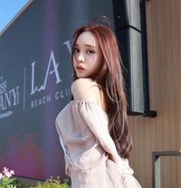 Tiffanynewinthailand - Transsexual escort in Bangkok