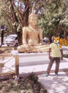 Tiger - Male adult performer in Bangalore Photo 5 of 6