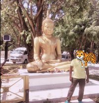 Tiger - Male adult performer in Bangalore