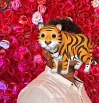 Tigerblr15 - Male escort in Bangalore