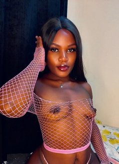 Tiggerkitty - escort in Kuala Lumpur Photo 1 of 7