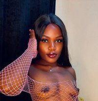 Tiggerkitty - escort in Kuala Lumpur