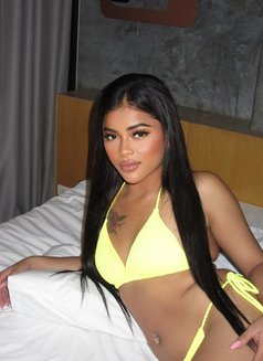 Timmy Massage Xx in Riyadh 🇹🇭🇹🇭 - escort in Bangkok Photo 8 of 11