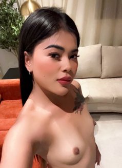 Timmy Massage Xx in Riyadh 🇹🇭🇹🇭 - escort in Riyadh Photo 12 of 12