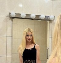 Molli Both Top Ukrainian🇺🇦 - Transsexual escort in Doha