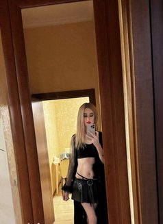 Molli Both Top Ukrainian🇺🇦 - Transsexual escort in Doha Photo 4 of 9