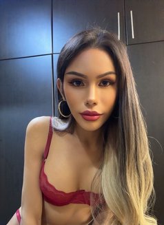 Tina Famous Dubai🇦🇪 - Transsexual escort in Dubai Photo 17 of 23
