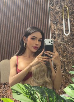 Tina Famous Dubai🇦🇪 - Transsexual escort in Dubai Photo 22 of 23