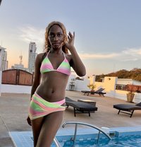 Tina - escort in Pattaya