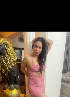 Tina - escort in Beirut Photo 3 of 5