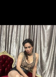 Tina - escort in Beirut Photo 4 of 5