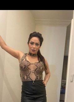 Tina - escort in Beirut Photo 5 of 5