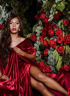 Tina Monra - Transsexual escort in Bali Photo 4 of 8