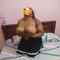 Tina - adult performer in Chennai Photo 4 of 4