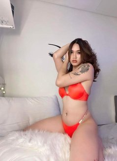 Tina Versa Top - Transsexual escort in Abu Dhabi Photo 20 of 20