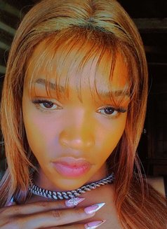 Tinah Exotica - Transsexual escort in Windhoek Photo 1 of 5