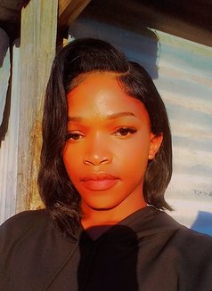 Tinah Exotica - Transsexual escort in Windhoek Photo 2 of 5