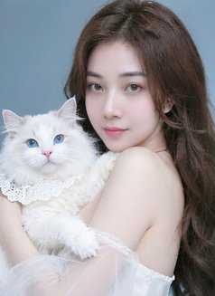 Tinamai999 - escort in Hanoi Photo 1 of 6