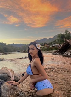 Tine ( camshow, content and meet ) - Transsexual escort in Manila Photo 16 of 17