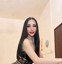 Tinnie - Transsexual escort in Al Ain