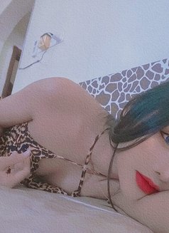 Lilly new ladyboy - Acompañantes transexual in Al Sohar Photo 4 of 8