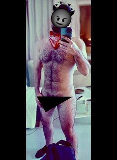 Titanium - Male escort in Beirut Photo 1 of 1