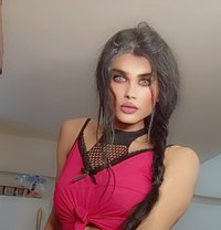 Titi - Transsexual escort agency in Beirut