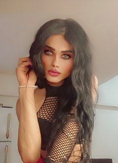 Titi - Transsexual escort agency in Beirut Photo 14 of 18