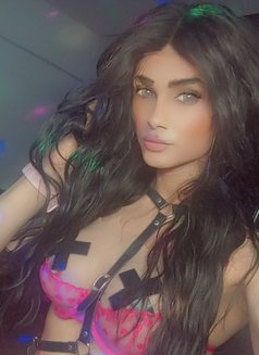 Titi - Agencia de acompañantes transexuales in Beirut Photo 19 of 19