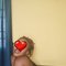 Titi (Velachery Chennai) - escort in Chennai Photo 3 of 5
