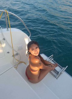 Tiya New Girl otw to Okinawa - escort in Okinawa Island Photo 3 of 14