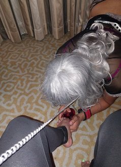 Todd Slave - Male escort in Dubai Photo 1 of 5