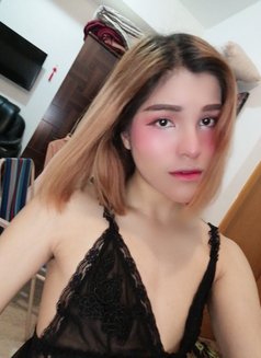 Toffy New Ladyboy - Transsexual escort in Muscat Photo 1 of 4