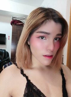 Toffy New Ladyboy - Transsexual escort in Muscat Photo 4 of 4
