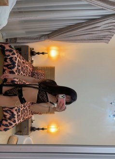 Tokyo Your Fav Twink🇵🇭 - Transsexual escort in Ras al-Khaimah Photo 19 of 19