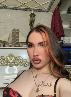 Tomm Mee - Acompañantes transexual in Baku Photo 18 of 22