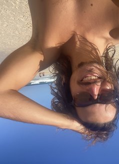 Tommy - Male companion in Fuerteventura Photo 3 of 12