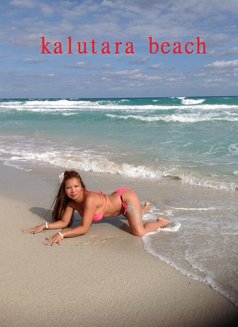 Tomy - Male escort in Colombo Photo 5 of 5