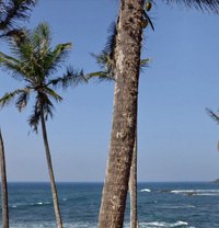 Ma Dhu wa (Licker) - Acompañantes masculino in Kandy