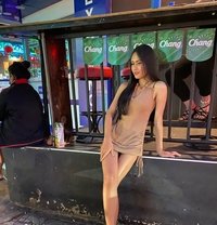 Tonkao Video Call With Sex - Acompañantes transexual in Bangkok