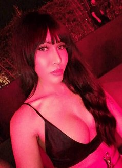 Top 1 Selena BACK IN TOWN! - Transsexual escort in Singapore Photo 25 of 28