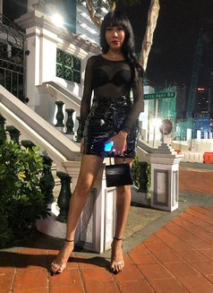 Top 1 Selena BACK IN TOWN! - Transsexual escort in Singapore Photo 28 of 28