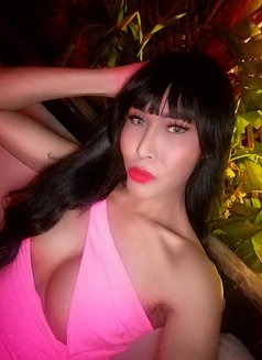 Top 1 Selena BACK IN TOWN! - Transsexual escort in Singapore Photo 21 of 28
