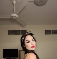 Queen of AJMAN - Transsexual escort in Ajmān