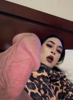 Queen of AJMAN - Transsexual escort in Ajmān Photo 2 of 9